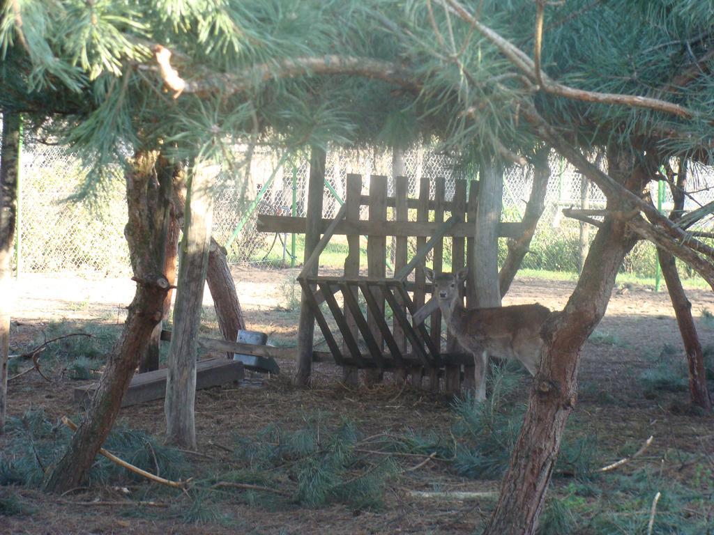 Gospodarstwo Agroturystyczne Ania I Filip Izabelin  Exterior foto